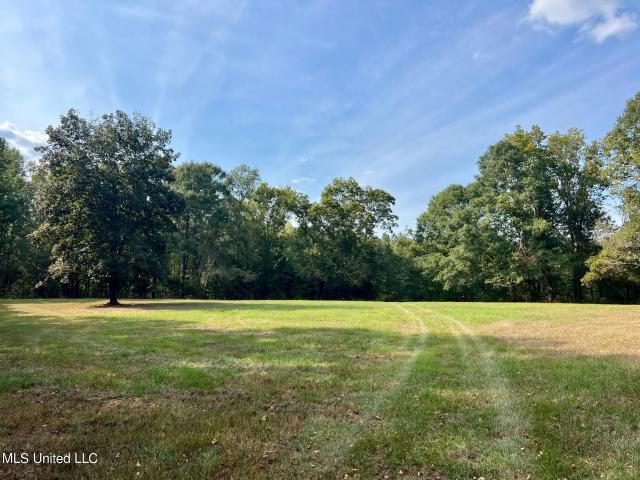 Land for sale in Flora, Mississippi