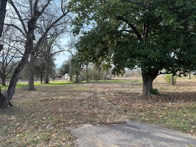 Land for sale in Latexo, Texas