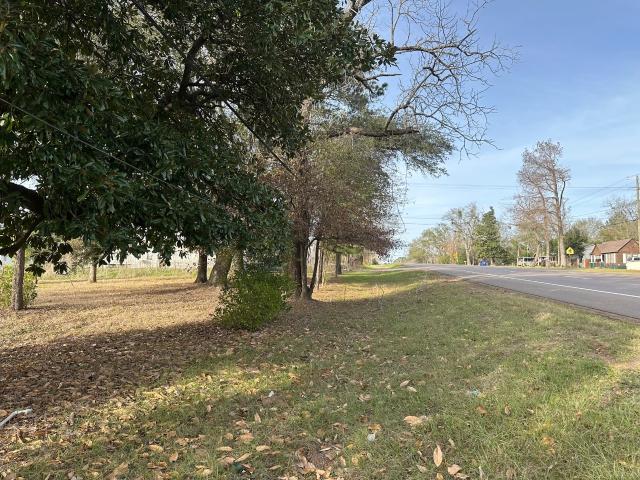 Land for sale in Latexo, Texas