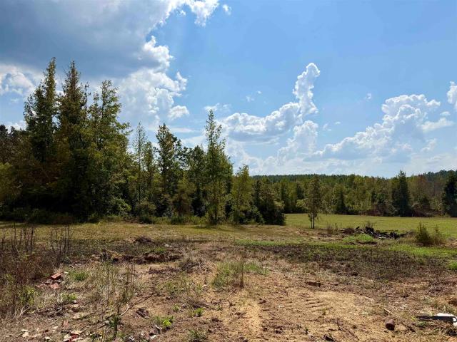 Land for sale in Selmer, West Tennessee