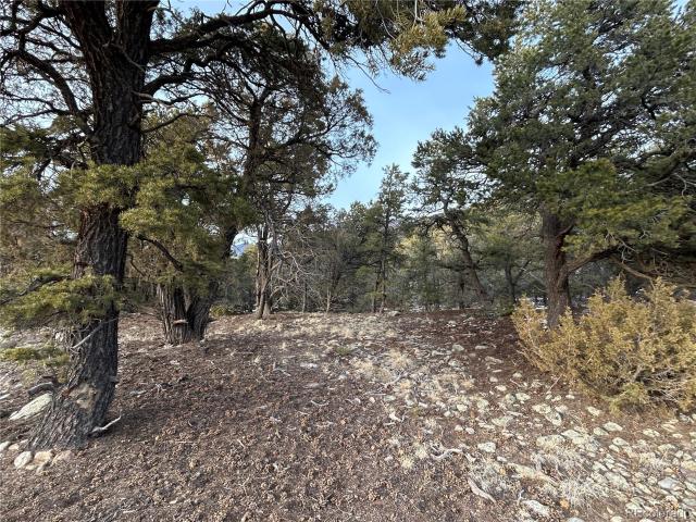 Land for sale in Crestone, Colorado