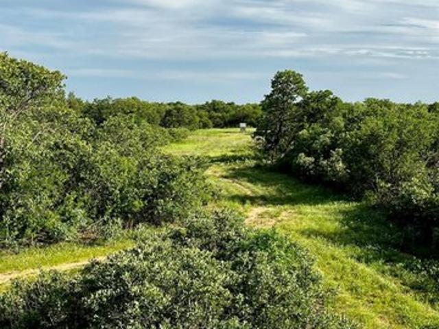 Land for sale in Jones, Texas