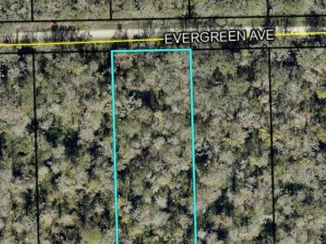 Land for sale in Bunnell, Florida