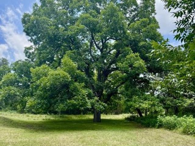 Land for sale in Leakey, Texas