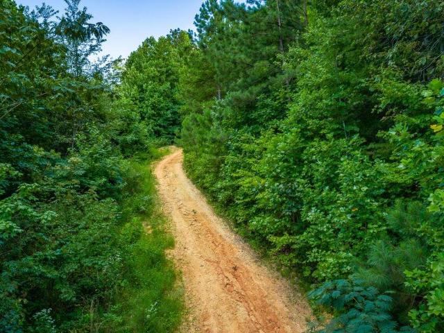 Land for sale in Tennessee