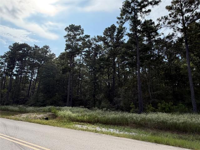 Land for sale in Walker, Texas