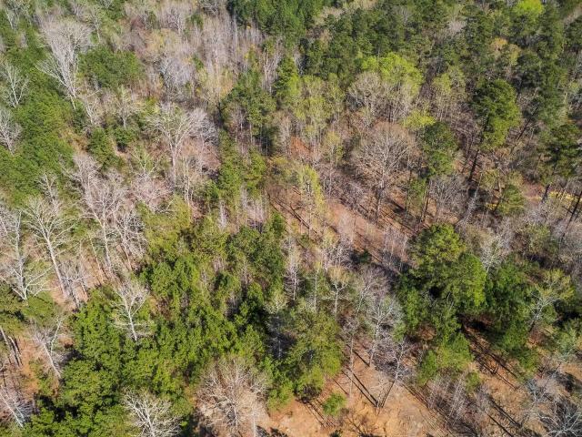 Land for sale in Prosperity, South Carolina