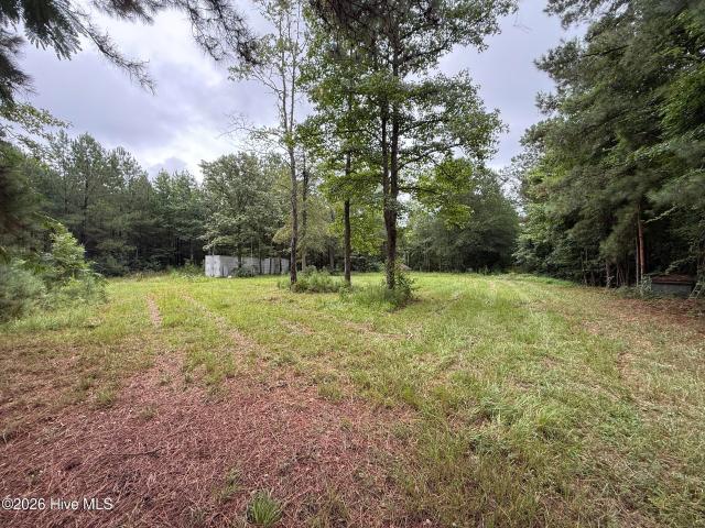 Land for sale in Clarkton, North Carolina