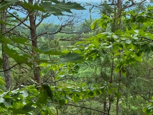 Land for sale in North Carolina