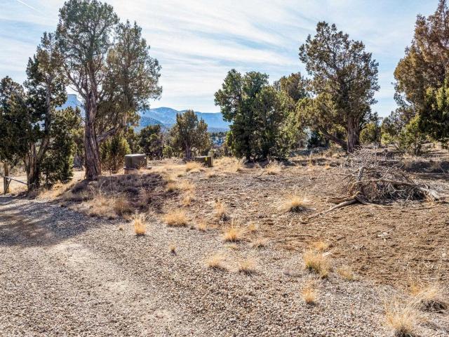 Land for sale in Montezuma, Colorado
