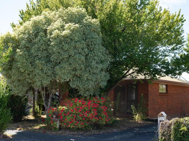 House for rent in Launceston, Tasmania