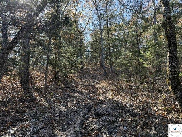 Land for sale in Lincoln, Missouri