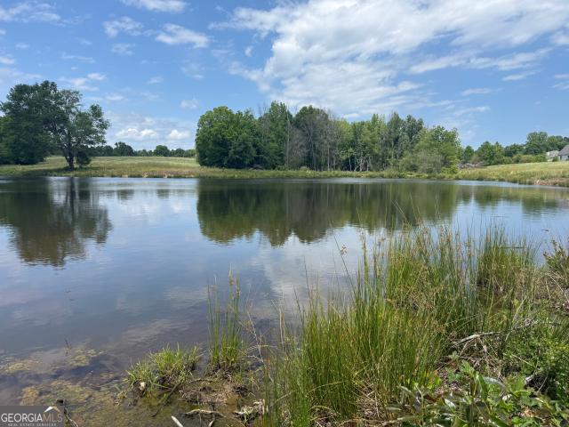 Land for sale in Zebulon, Georgia