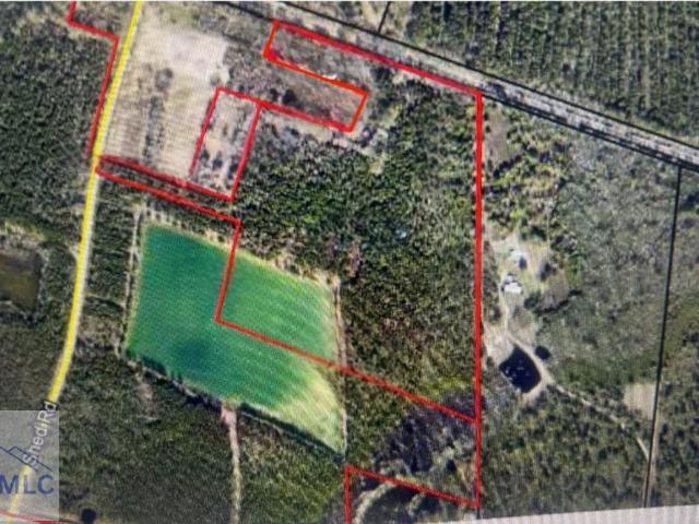 Land for sale in Odum, Georgia
