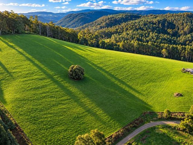 Land for sale in Pyengana, Tasmania