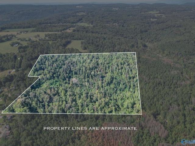Land for sale in Alabama