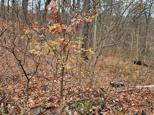 Land for sale in Rockland, New York