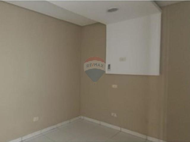 Apartamento aluguel em Ipsep, Custodia