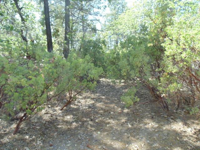 Land for sale in Georgetown, California