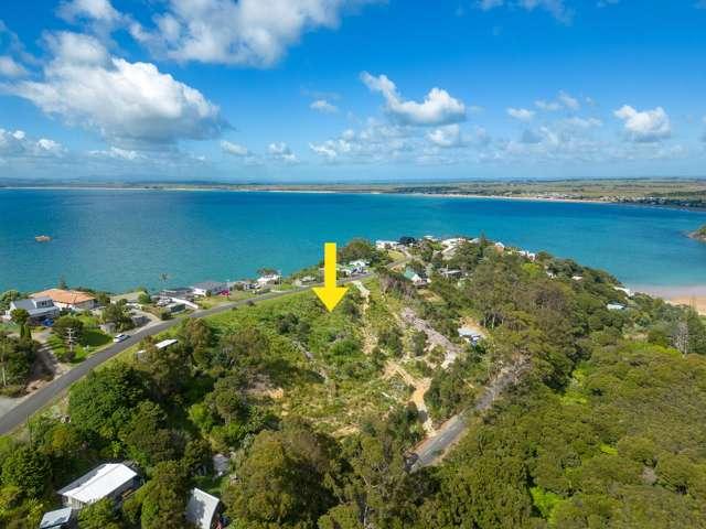 Land for sale in Northland