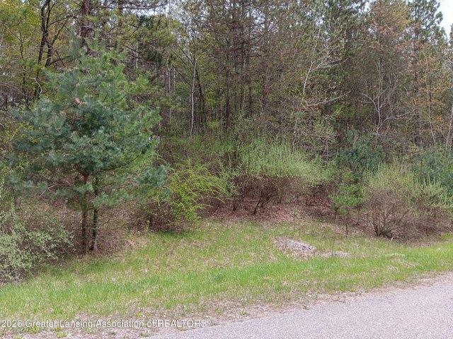 Land for sale in Owosso, Shiawassee County