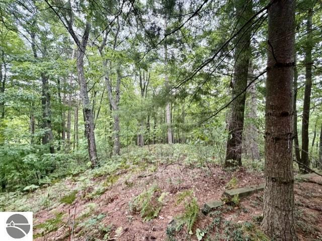 Land for sale in Michigan