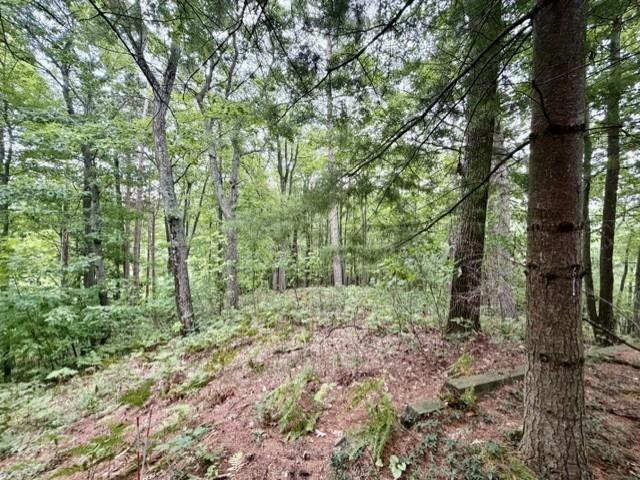 Land for sale in Glen Arbor Township, Leelanau County
