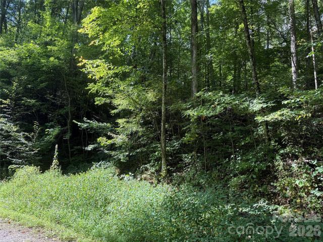 Land for sale in Clyde, Buncombe County
