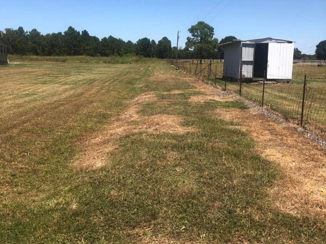 Land for sale in Lawtell, Louisiana