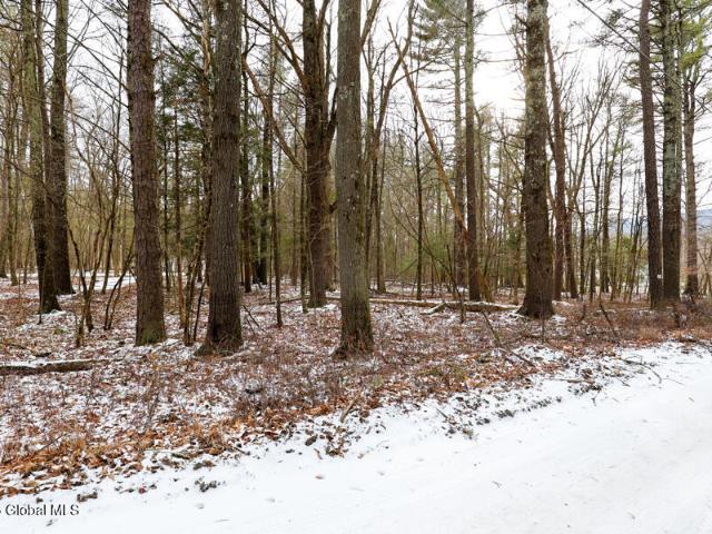 Land for sale in Bloomington, New York
