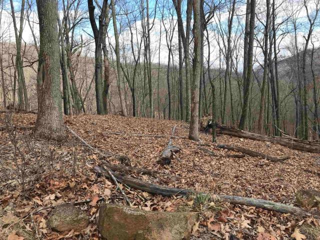 Land for sale in Virginia