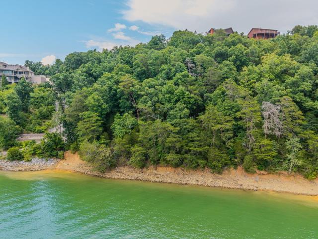 Land for sale in Tennessee