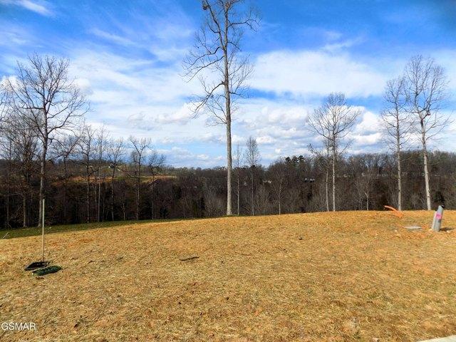 Land for sale in Tennessee