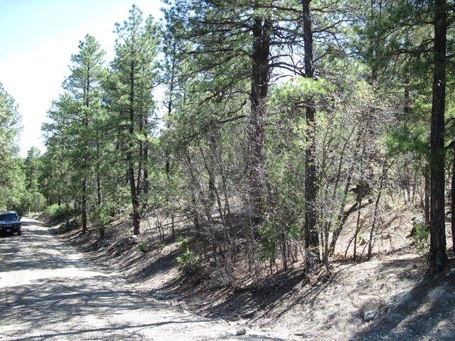 Land for sale in Placitas, New Mexico