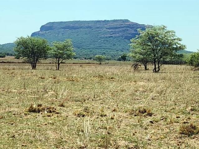 Commercial Land for sale in Belabela