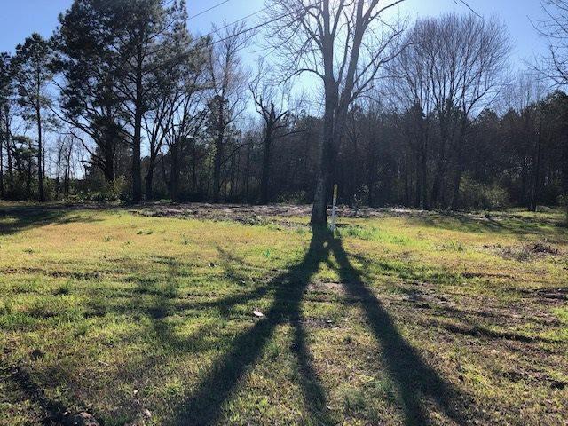 Land for sale in Forest, Mississippi