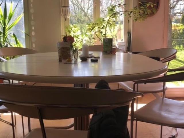 Studio mieten in Lengwil-Oberhofen, Thurgau