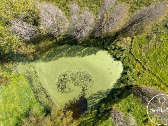 Property for sale in Matakohe, Northland