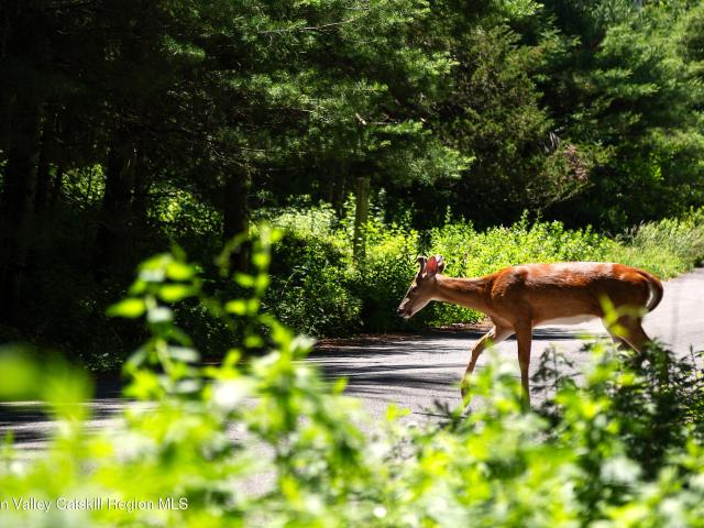 Land for sale in Cold Brook, Ulster County