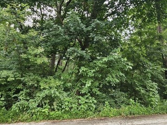 Land for sale in Fox Lake, Lake County