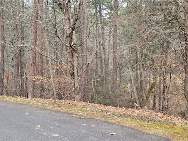 Land for sale in Mars Hill, North Carolina