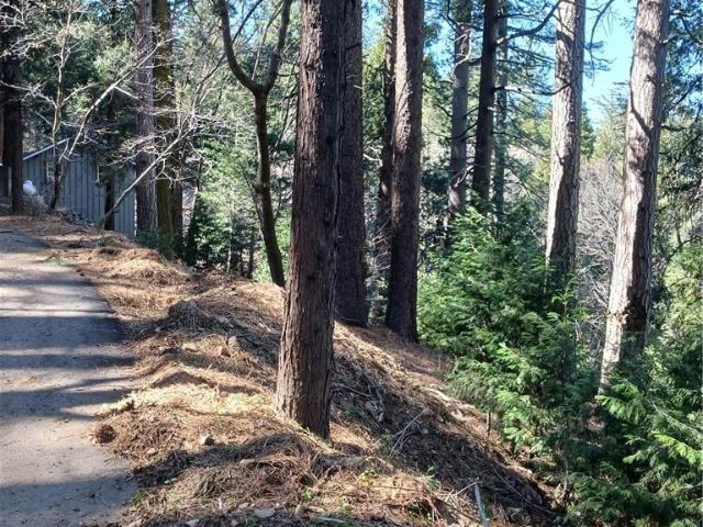 Land for sale in Cedarpines Park, California