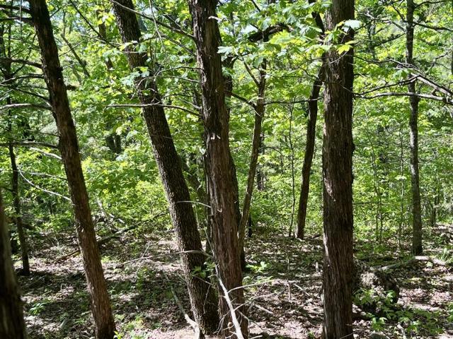 Land for sale in Ark