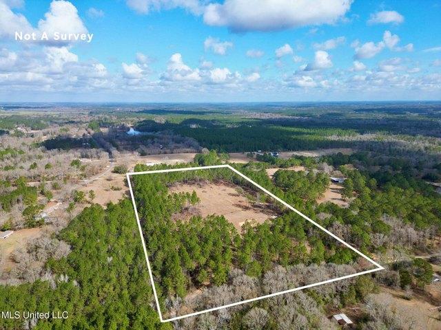 Land for sale in Carriere, Mississippi