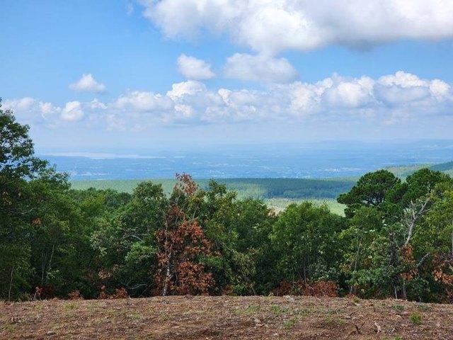 Land for sale in Howe, Oklahoma