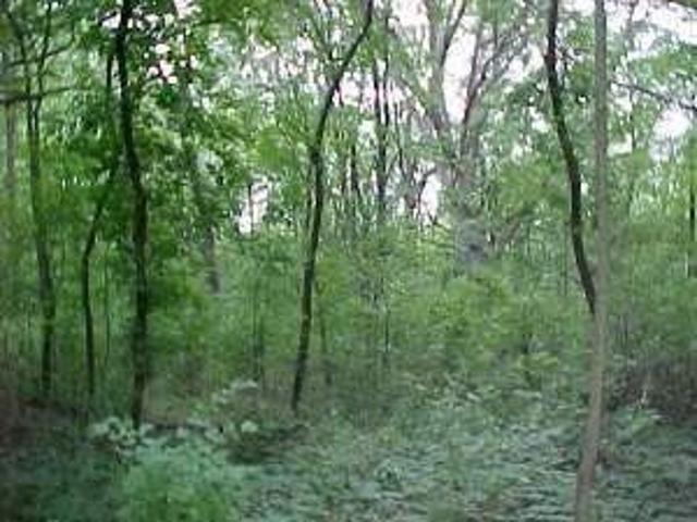 Land for sale in Saint Charles, Iowa