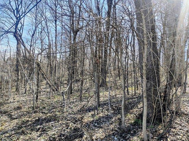 Land for sale in Saint Charles, Iowa