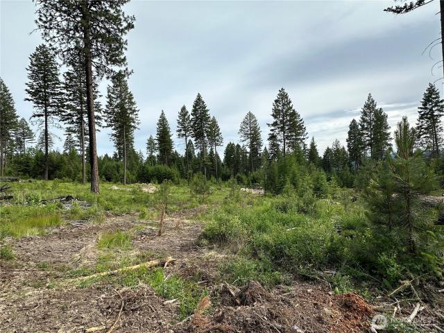 Land for sale in Republic, Washington