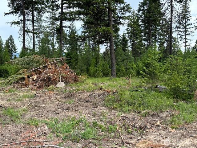 Land for sale in Republic, Washington
