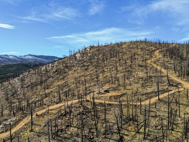 Land for sale in Colorado